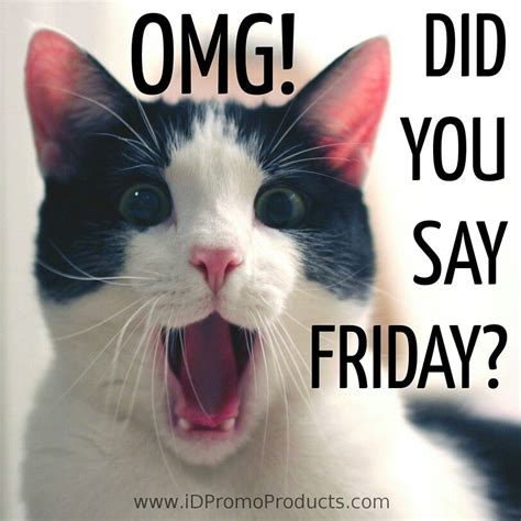 Happy friday cat meme - Welp, in order to celebrate and help y'all get through the last workday of the week, we're back with our weekly Friday Funnies segment where we compile a collection of the funniest, silliest, most relatable, and wholesome cat memes for all of us cat enthusiasts to enjoy. There's no specific theme for this one but we can guarantee that everyone ...